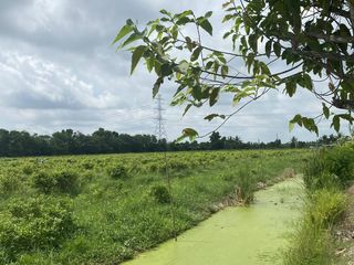 Terreno en venta en Nong Suea, Pathum Thani