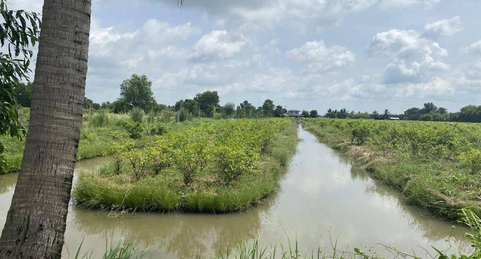 For sale land in Nong Suea, Pathum Thani