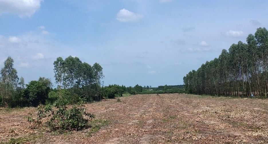 For sale land in Si Maha Phot, Prachin Buri