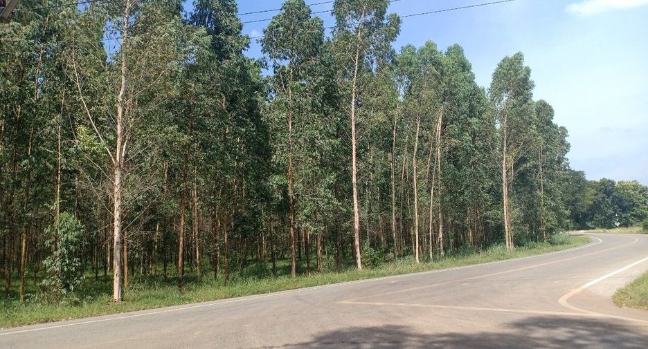 For sale land in Si Maha Phot, Prachin Buri