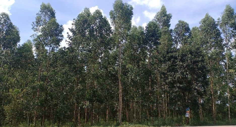 For sale land in Si Maha Phot, Prachin Buri