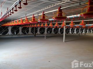 出售 土地 在 Kabin Buri, Prachin Buri