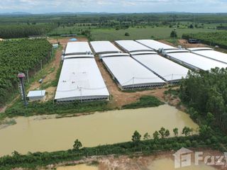 出售 土地 在 Kabin Buri, Prachin Buri