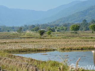 Terreno en venta en Mueang Chiang Rai, Chiang Rai