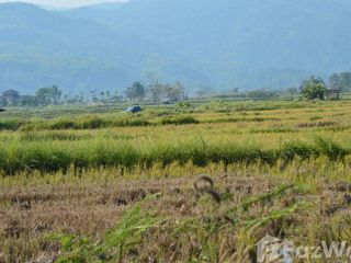 Terreno en venta en Mueang Chiang Rai, Chiang Rai