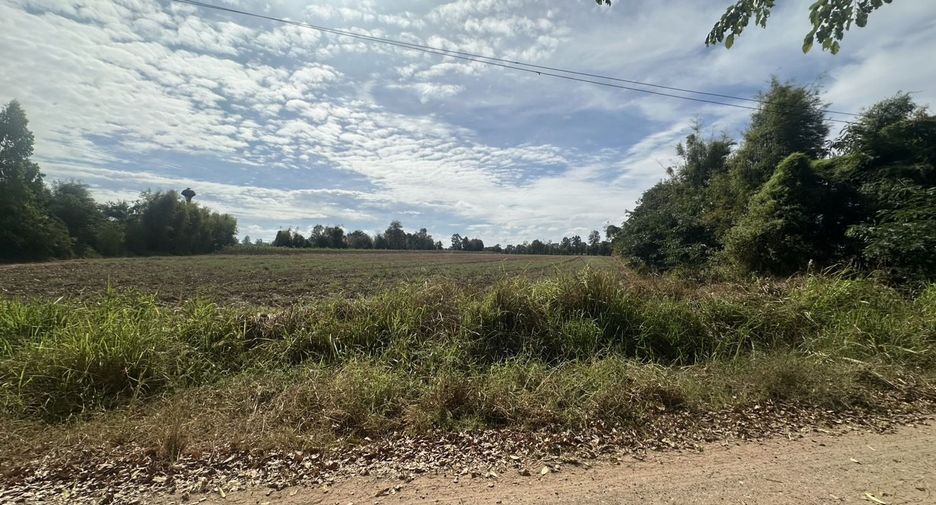ขาย ที่ดิน ใน ขามทะเลสอ, นครราชสีมา