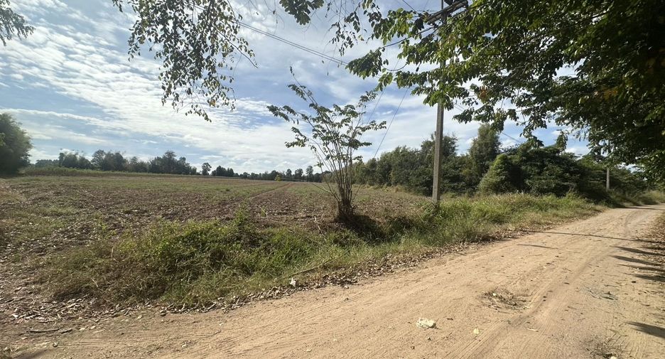 ขาย ที่ดิน ใน ขามทะเลสอ, นครราชสีมา