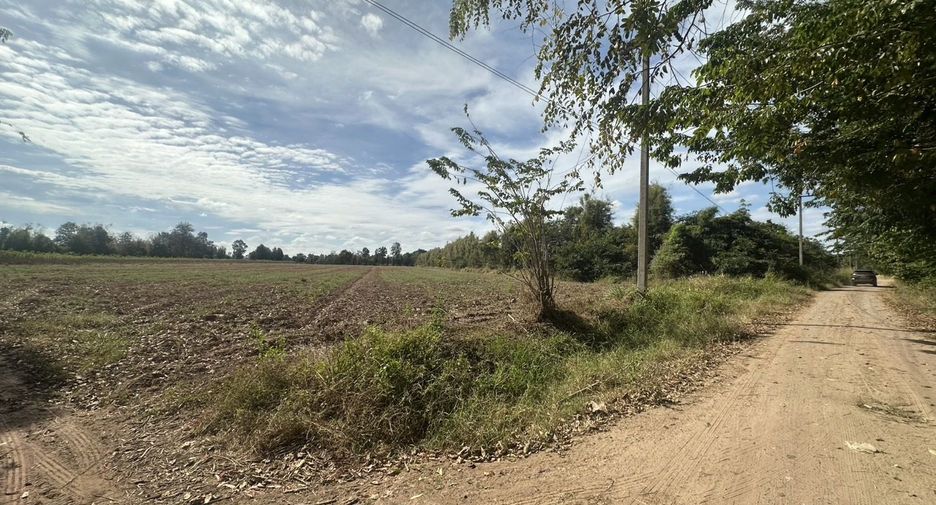 ขาย ที่ดิน ใน ขามทะเลสอ, นครราชสีมา
