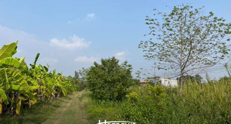 For sale land in Nong Suea, Pathum Thani