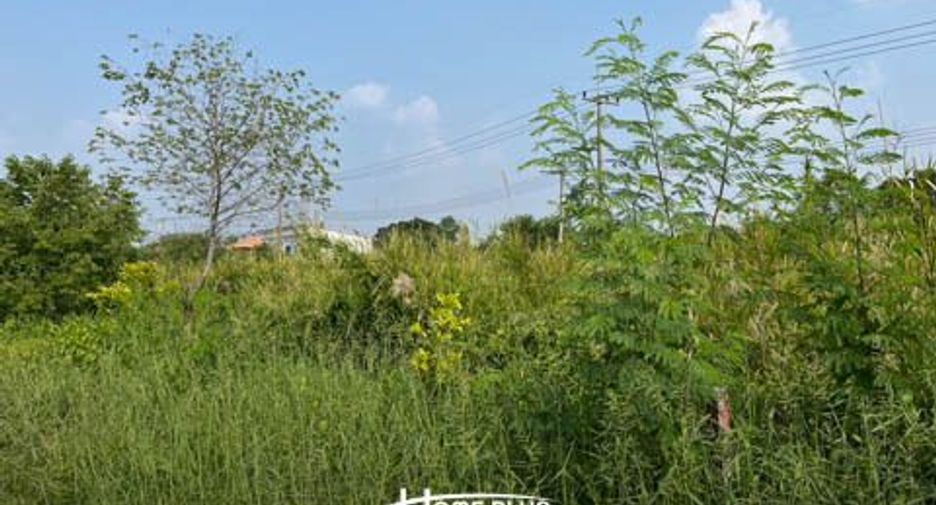 For sale land in Nong Suea, Pathum Thani