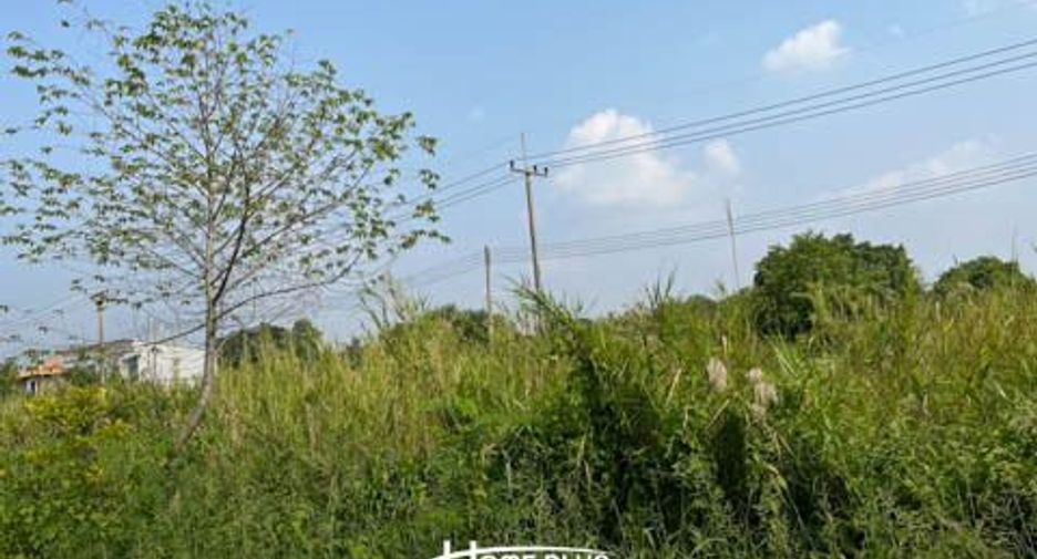 For sale land in Nong Suea, Pathum Thani
