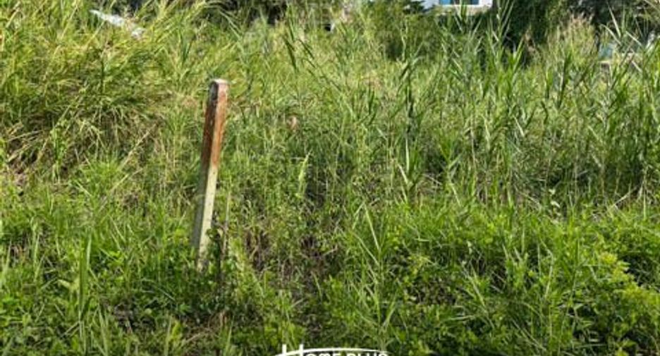 For sale land in Nong Suea, Pathum Thani