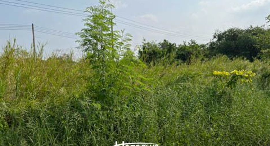 For sale land in Nong Suea, Pathum Thani