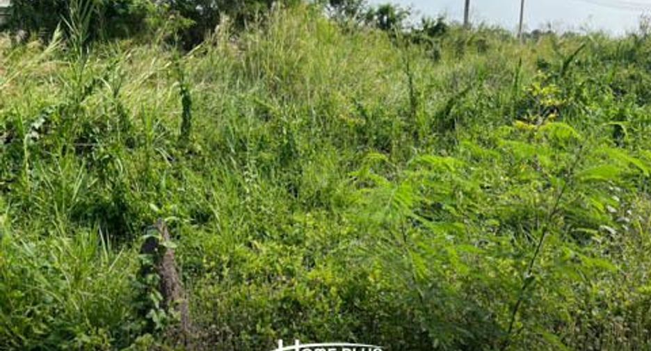 For sale land in Nong Suea, Pathum Thani