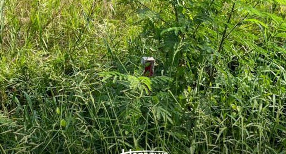 For sale land in Nong Suea, Pathum Thani
