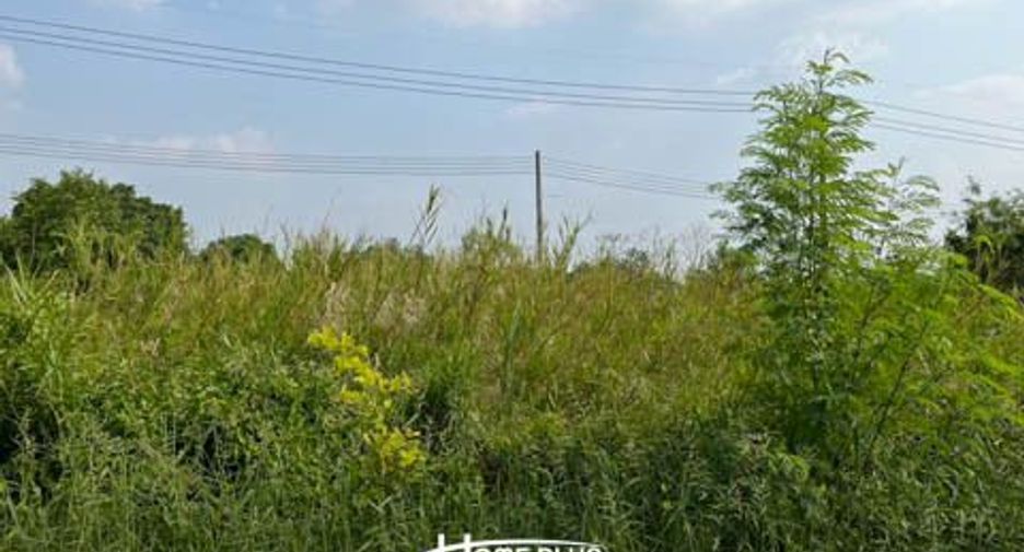 For sale land in Nong Suea, Pathum Thani