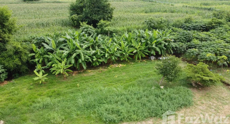For sale land in Kaeng Khoi, Saraburi
