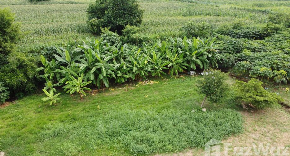 出售 土地 在 Kaeng Khoi, Saraburi