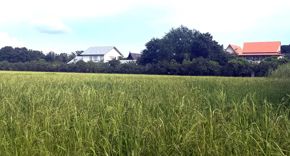For sale land in Bang Yai, Nonthaburi