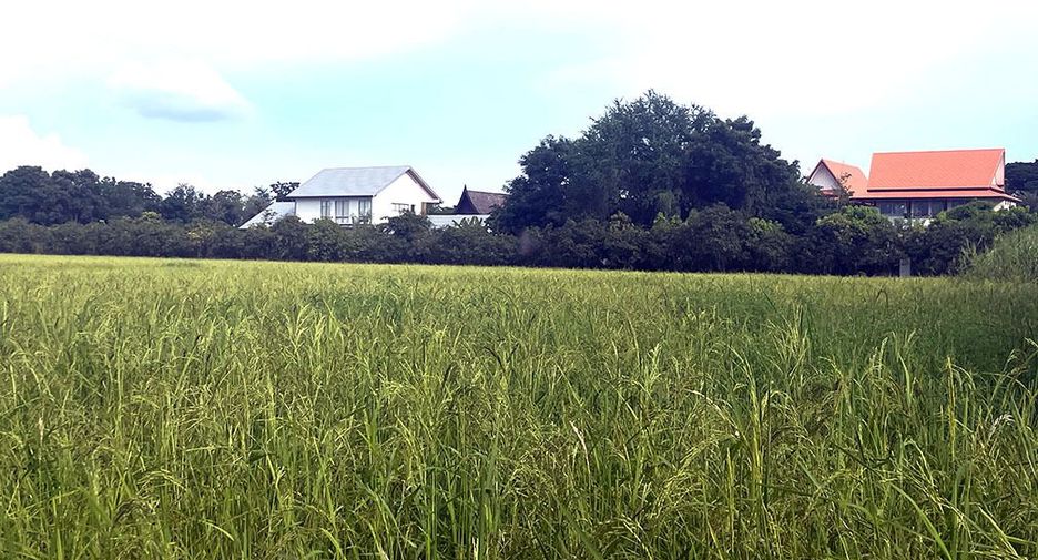 出售 土地 在 Bang Yai, Nonthaburi