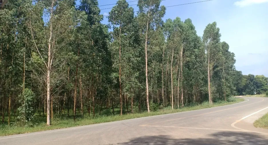 For sale land in Si Maha Phot, Prachin Buri