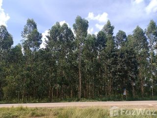 For sale land in Si Maha Phot, Prachin Buri