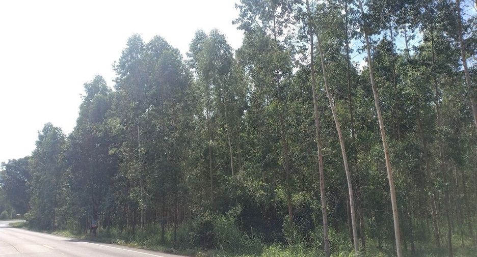 For sale land in Si Maha Phot, Prachin Buri