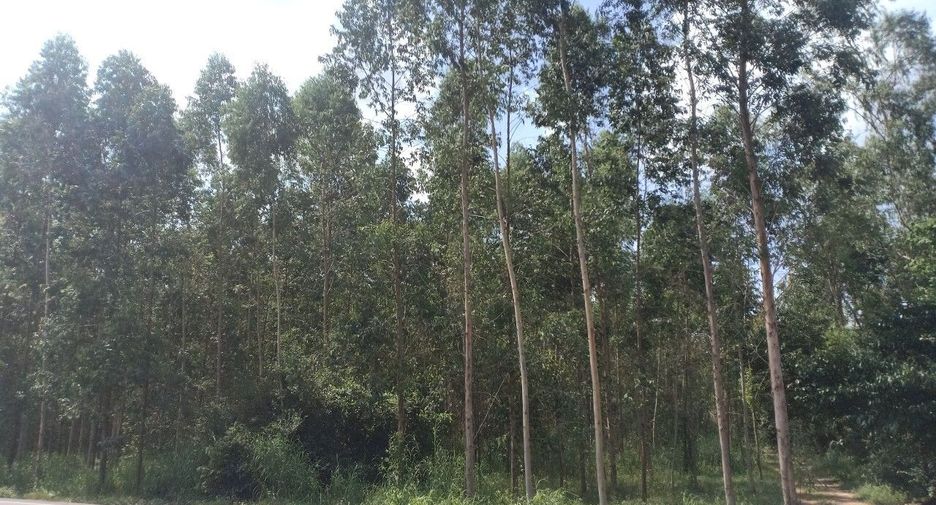 For sale land in Si Maha Phot, Prachin Buri