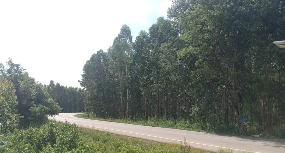 For sale land in Si Maha Phot, Prachin Buri