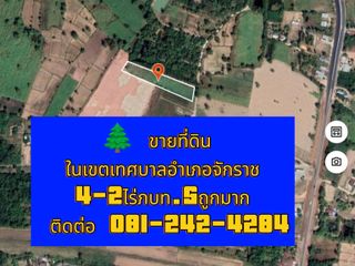For sale land in Chakkarat, Nakhon Ratchasima