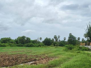 For sale land in Ban Lat, Phetchaburi