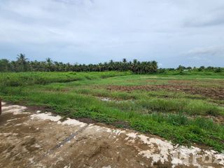 For sale land in Ban Lat, Phetchaburi