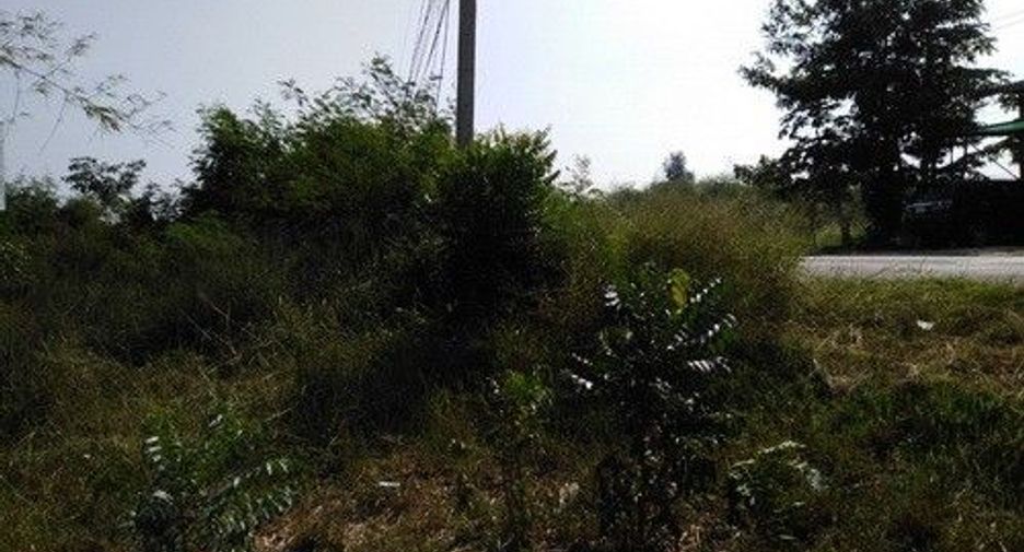 À vendre terrain à Sung Noen, Nakhon Ratchasima