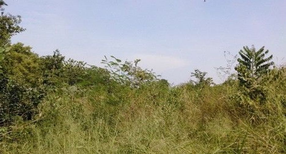 À vendre terrain à Sung Noen, Nakhon Ratchasima
