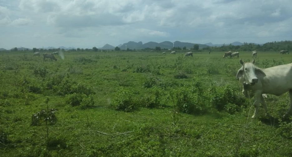 For sale land in Tha Yang, Phetchaburi