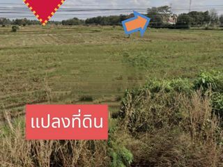 ขาย ที่ดิน ใน จักราช, นครราชสีมา