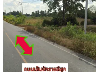 For sale land in Chakkarat, Nakhon Ratchasima