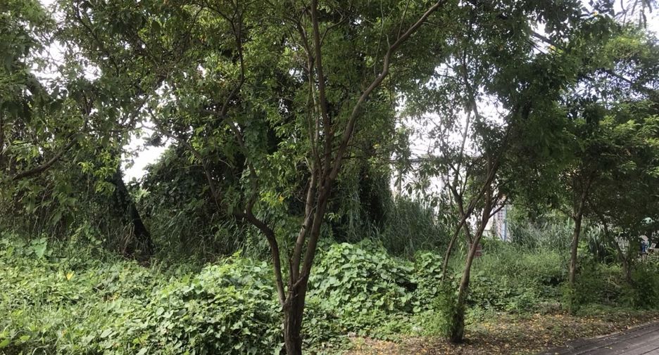 À vendre terrain à Bang Kruai, Nonthaburi