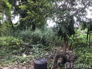 Продажа Участок в Bang Kruai, Нонтабури