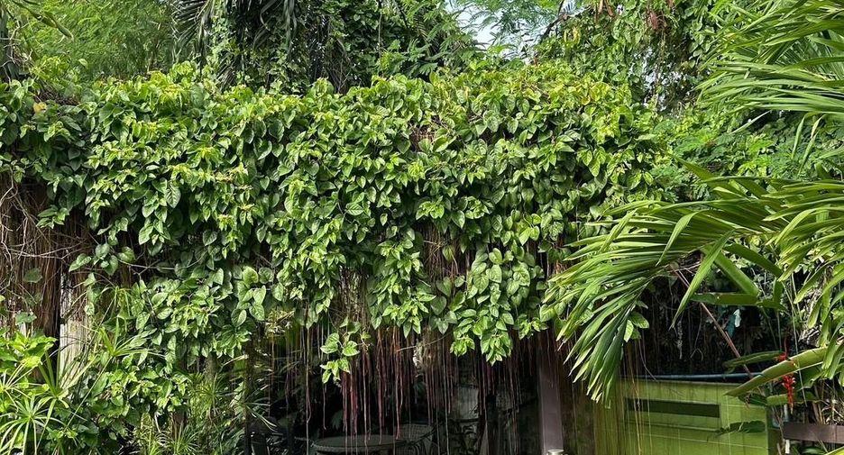For sale studio house in Mueang Nonthaburi, Nonthaburi
