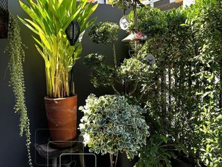 For rent 3 bedrooms house in Suan Luang, Bangkok