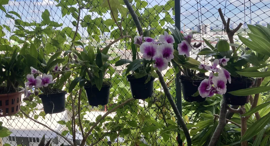 For rent 2 bedrooms condo in Bang Na, Bangkok