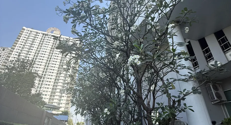 For rent 1 bed condo in Ratchathewi, Bangkok