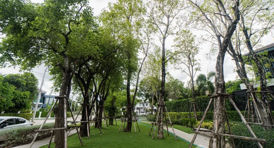 For rent 4 bedrooms house in Prawet, Bangkok
