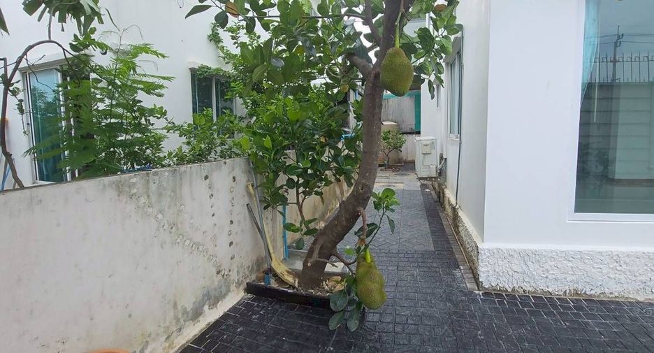 For rent 3 ベッドルーム house in Mueang Samut Prakan, Samut Prakan