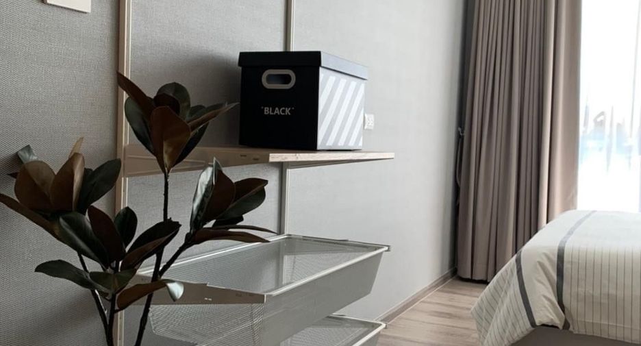For rent 1 bed condo in Mueang Samut Prakan, Samut Prakan