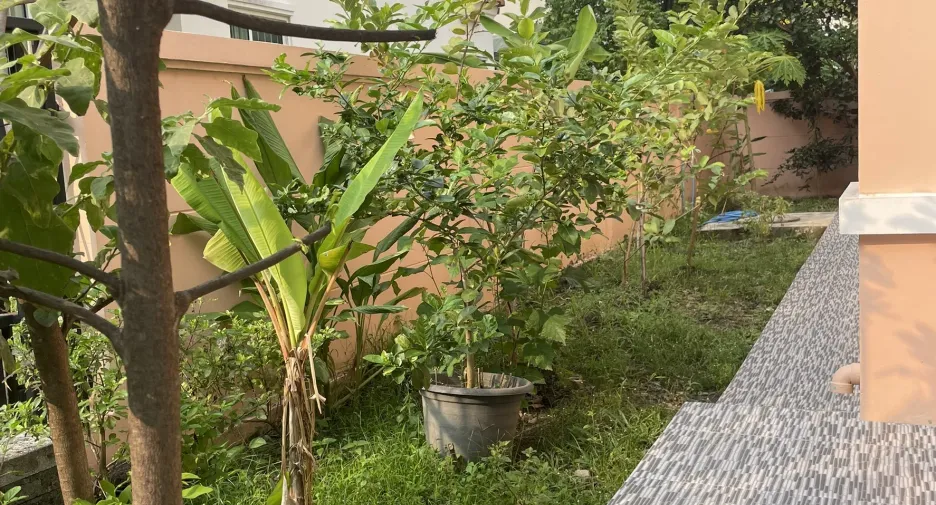 For sale and for rent 3 bedrooms house in Mueang Nonthaburi, Nonthaburi