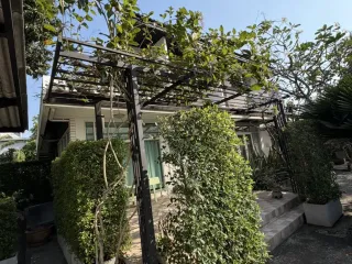 出租 3 卧室 独立屋 在 Bang Na, 曼谷