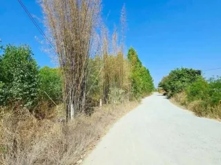 Продажа Участок в Ban Bueng, Чонбури