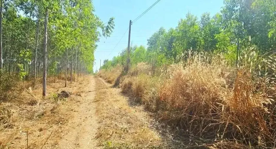 For sale land in Ban Bueng, Chonburi